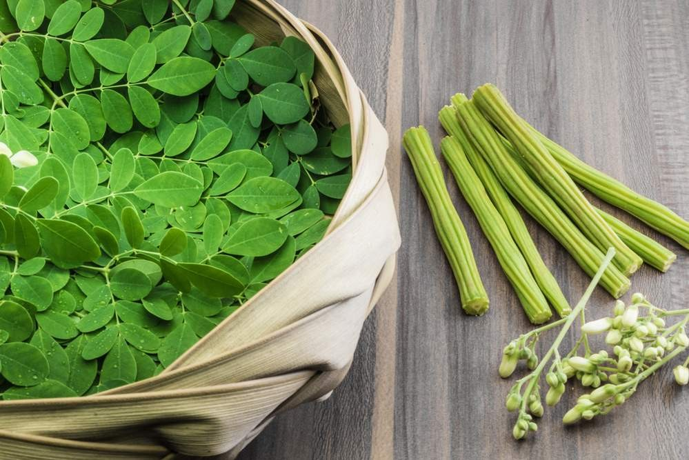 Moringa extract with quercetin and chlorogenic acid for blood sugar stabilization