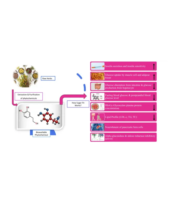 Pharmacology of ShugarFitt to helps in Diabetes type 1 and Diabetes type 2.